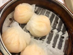 晶莹鲜虾饺-点点心点心专门店(旺角店)
