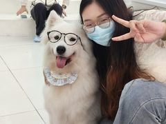 -汪说·狗咖·拼豆·宠物周边DIY(旺城大厦店)
