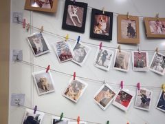 -瑞派康怡24h宠物医院·犬猫医疗中心·微创绝育(瑞景分院)
