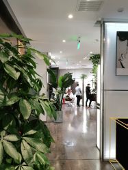 -崇尚GAVIN STYLE臻选