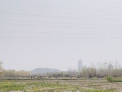 -永定河休闲森林公园