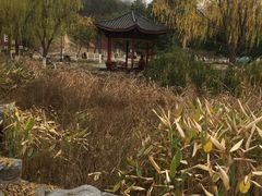 -太子山公园(园东路)