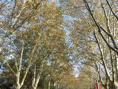 -钟山体育运动公园