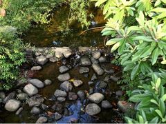 -白马涧龙池景区