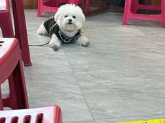 -脑馋粉儿(三里屯店)