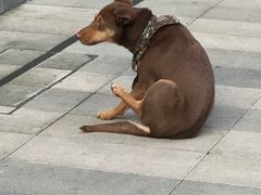 -日月光中心广场