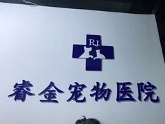 -睿金宠物医院·CT·肿瘤·骨外科
