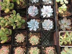 -无锡文化工艺品市场(槐古路店)