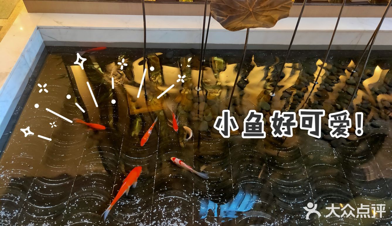 打卡亿源食府[礼花][礼花]