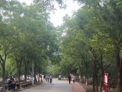 -北京凤凰岭