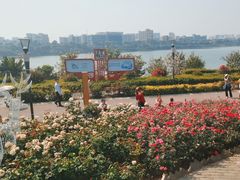 -立新湖公园