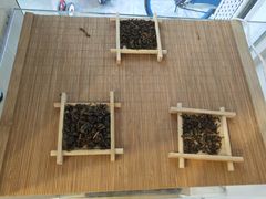 -一杯潮茶·专注潮汕茶饮(十二中创始店)