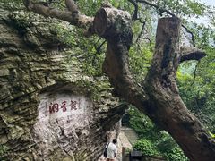-雁荡山风景名胜区