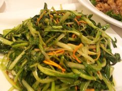 虫草鸡毛菜-大铁勺新津菜(东丽阳光新业广场店)