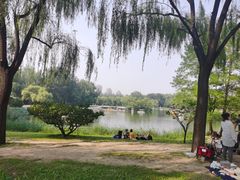 -朝阳公园游乐园