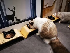 -咖法森林·咖啡  酒吧(天河店)