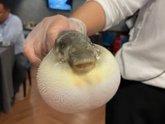 -肆月河豚·新淮扬(金融街店)