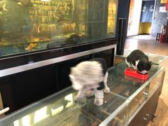 -酷鱼垂钓CLUB(朝阳区博大路店 )