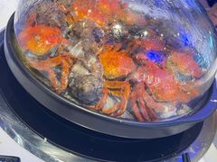 -半岛听涛蒸汽海鲜自助(K11店)