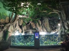 -福州罗源湾海洋世界旅游区