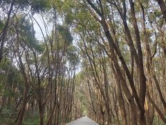 -同里国家湿地公园