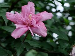 -郭守敬纪念馆