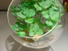 -码头见·潮汕菜(领展中心城店)