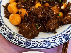 煨牛肉-白魁老号饭庄(交道口店)