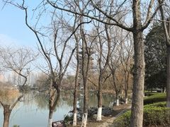 -洋湖国家湿地公园