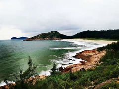 -广东惠东海龟国家级自然保护区