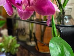 -街角 T·COFFEE 融合料理·BISTRO(车公庙店)