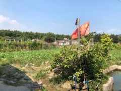 -丰依竹食·老牌竹筒饭