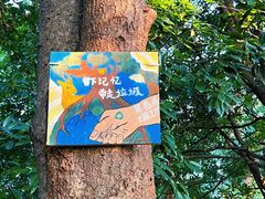 -东莞市大岭山森林公园
