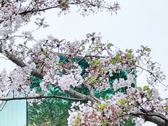 -龙美术馆(西岸馆)