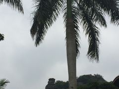 -海口东站