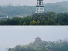 -云碧峰国家森林公园