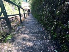 -广东大峡谷