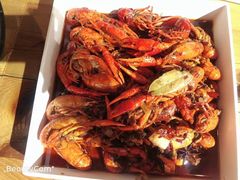 -堕落小龙虾(兰州旗舰店)