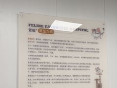 -艾贝尔宠物医院 ·中兽医·宠保定点(北门桥店)