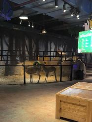 -酷嗒动物文化乐园(cutezoo西溪乐天城店)