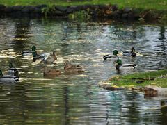 -北海道厅旧本厅舍(旧本庁舎)