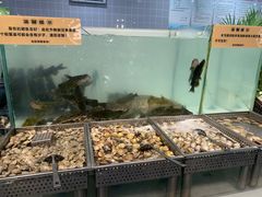 -金滏山烤肉·海鲜·火锅自助餐厅(襄阳万达店)