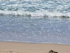 -西涌国际滨海旅游区