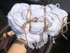 -田园东方蜜桃村的田野营地