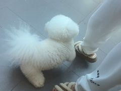 -联合动物医院(光谷诊疗中心)