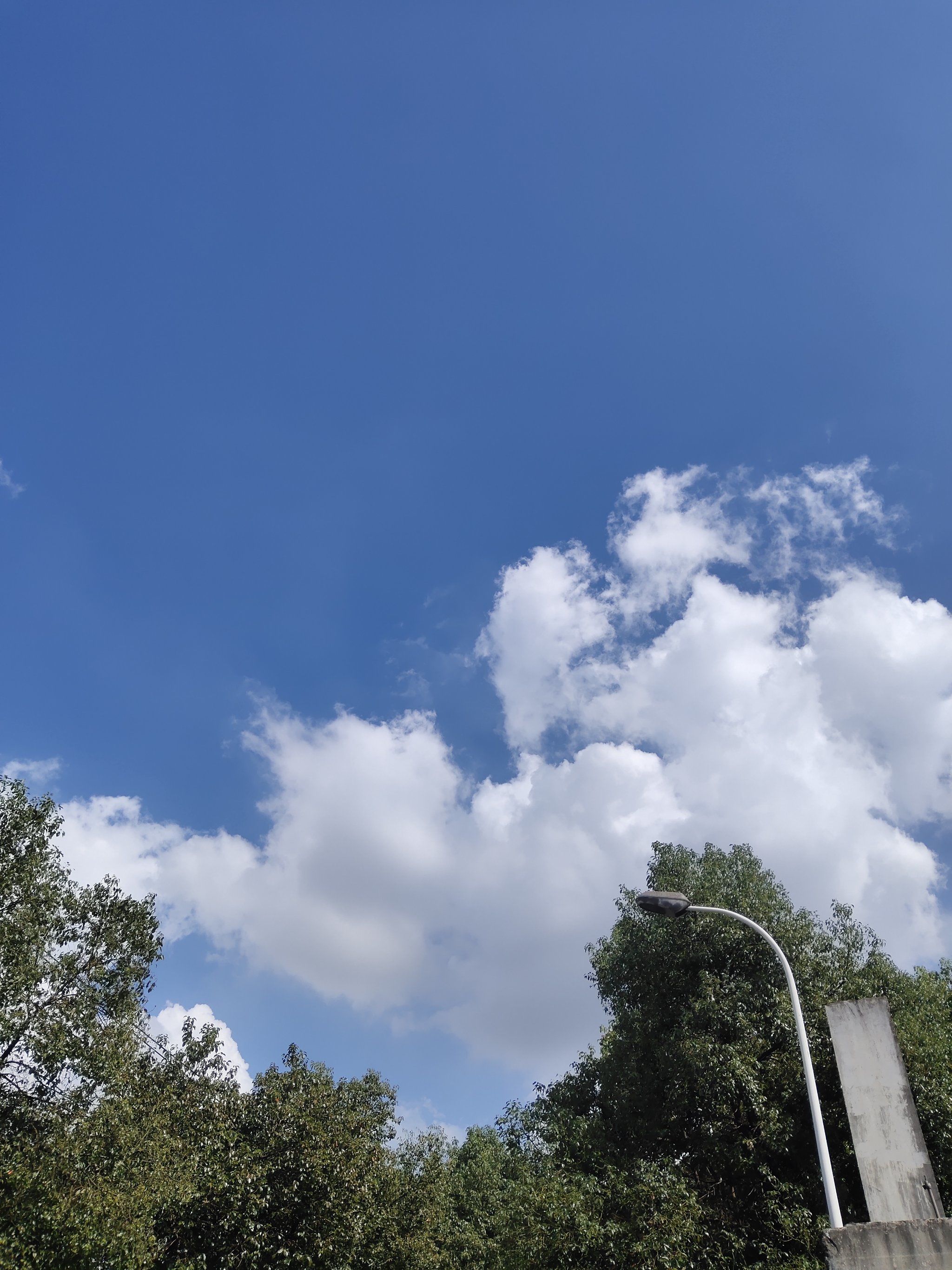早上好,蔚来的天空给予我们无尽的动力