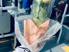 -东方饺子王(文化东路店)