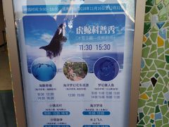 -上海海昌海洋公园-停车场