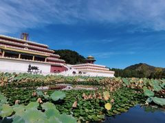 -万佛园景区
