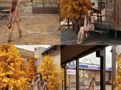 -Blue Concept Cafe&Farm·關於藍